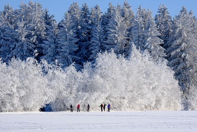 Winter Wonderland: Gardening Tips to Beat the Cold