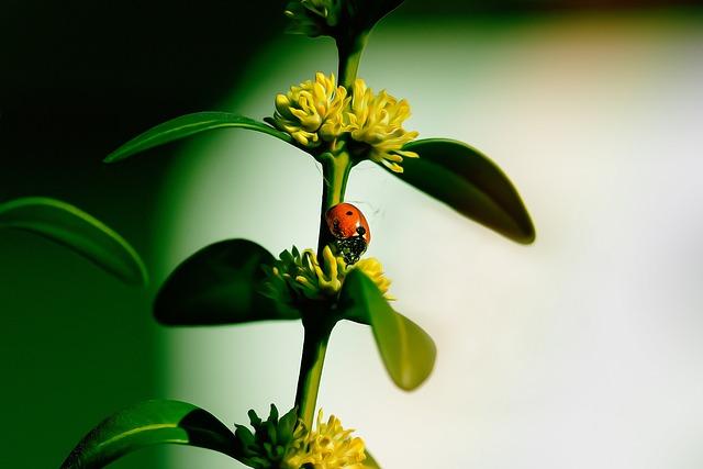 Natural Pest Control: Keeping Critters at Bay Without Harmful Chemicals