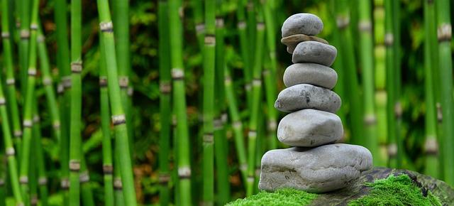 Zen Gardens: Creating Tranquil Retreats in Your Backyard