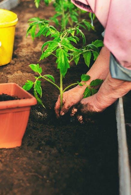 Composting 101: Turning Waste into Gardening Gold