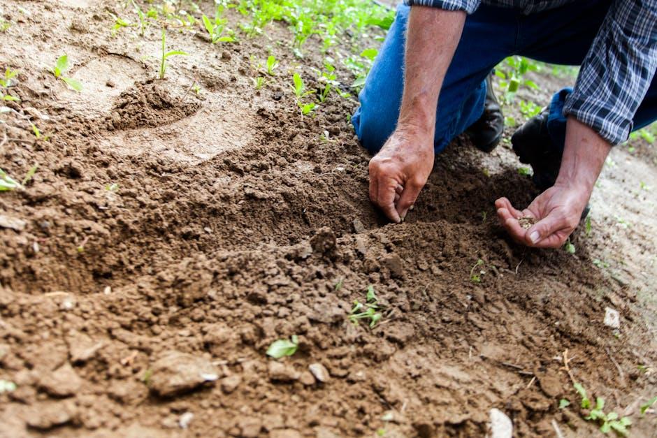 From Seed to Sprout: Nurturing Young Plants with Care