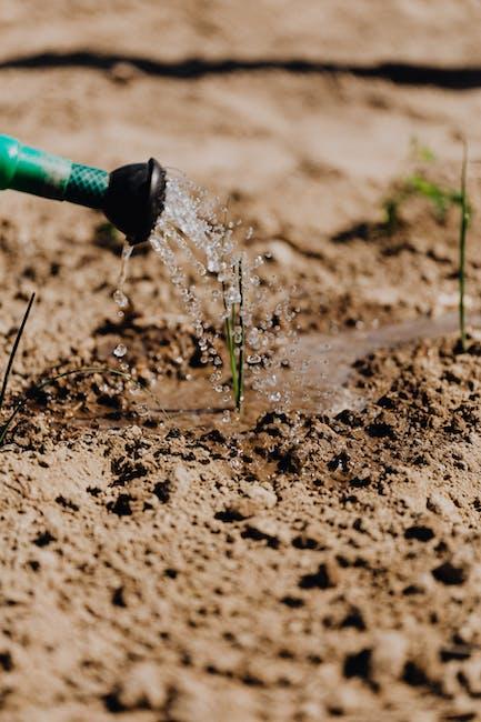 ORGANIC GARDENING: