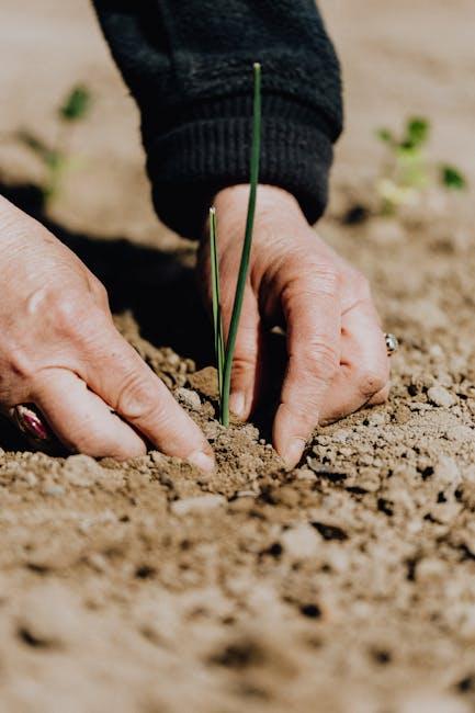 Going Green: The Basics of Organic Gardening