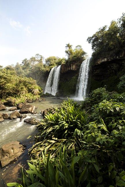 Native ⁤Plant‌ Power: Harnessing the Benefits of Indigenous Flora